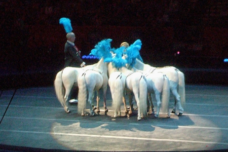 Ringling Bros Circus 32.JPG